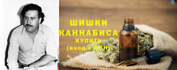 крисы Богородицк