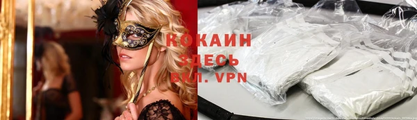 крисы Богородицк