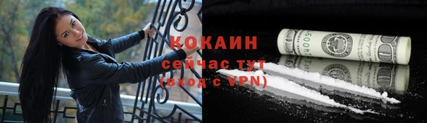 крисы Богородицк