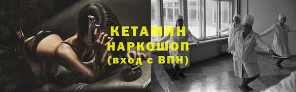 крисы Богородицк