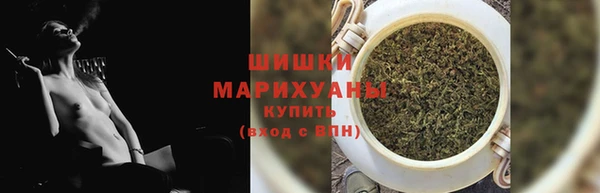 крисы Богородицк