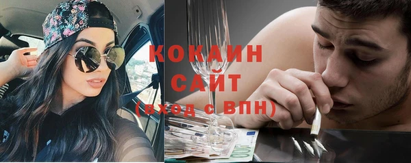 крисы Богородицк